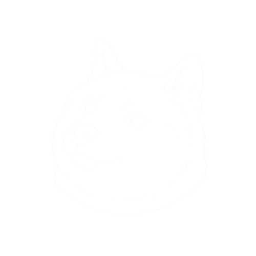 도지 레어 DOGERARE DOGERARE